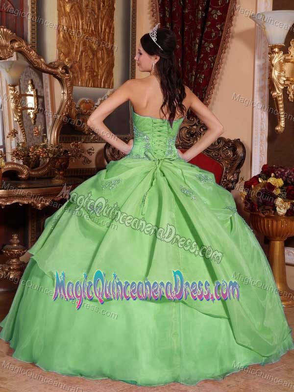 Cheap Green Strapless Organza Beading Quinceanera Gown Dress in Raleigh