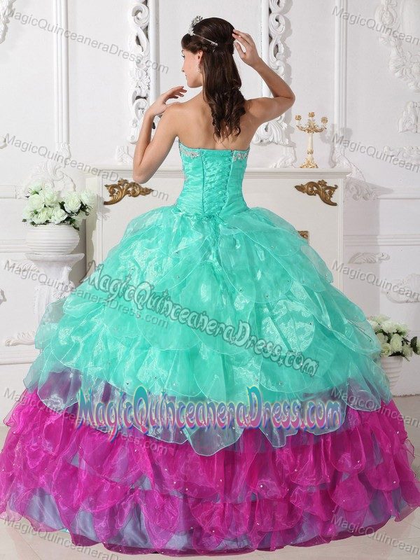 Colorful Ball Gown Strapless Organza Appliques Quinceanera Dress in Hickory