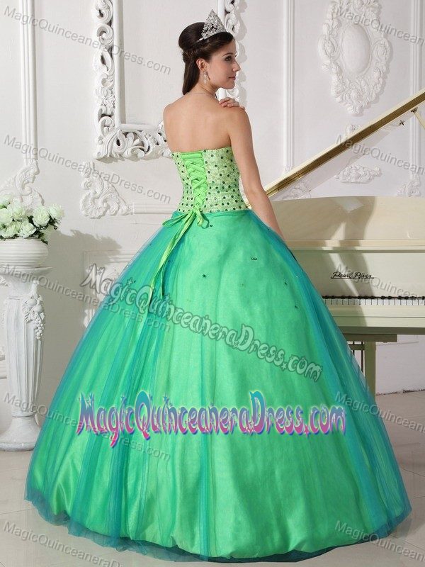 Simple Spring Green Floor-length Quinceanera Gown with Beading in Troy