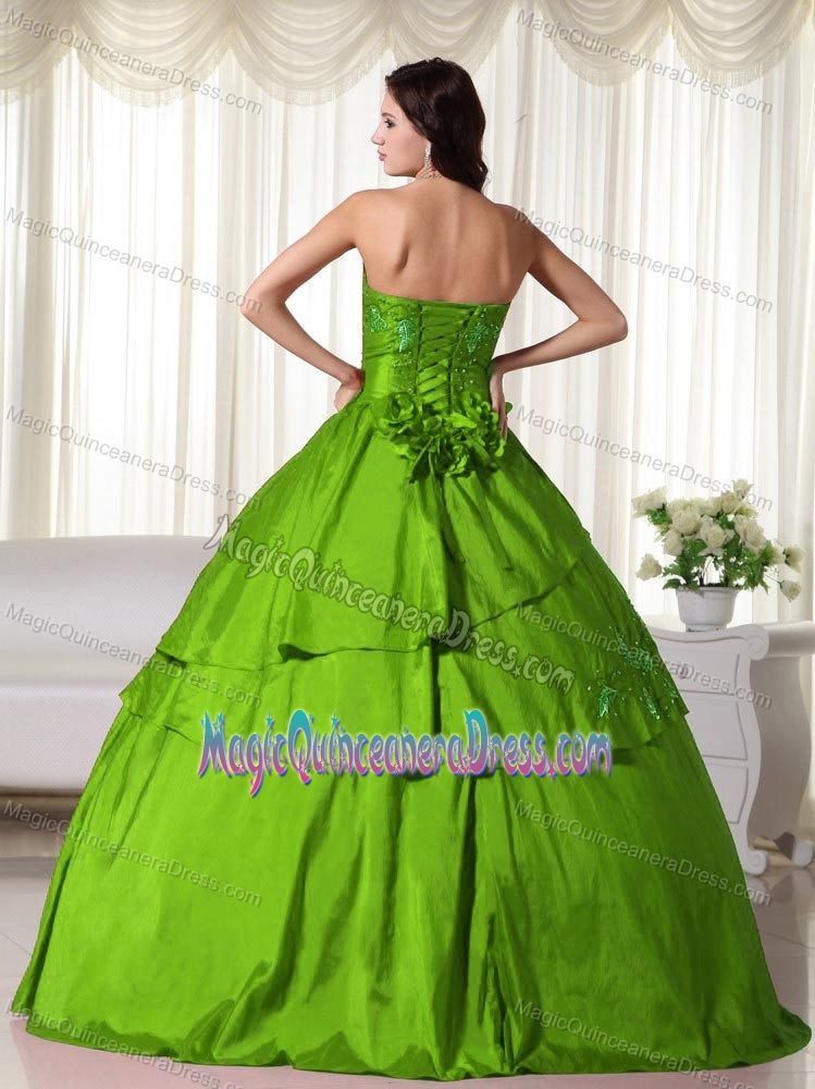 Strapless Green Floor-length Sweet 15 Dress with Embroidery and Flowers