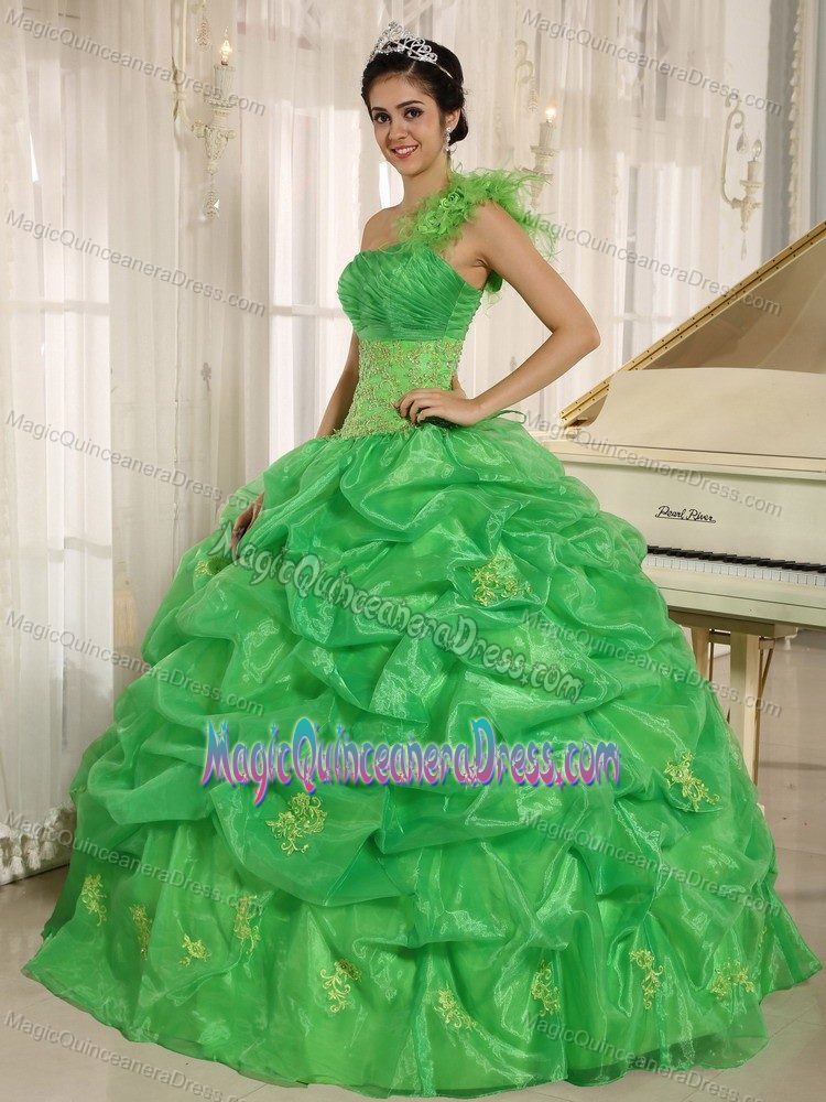 Spring Green One Shoulder Sweet 15 Dresses with Embroidery and Pick-ups
