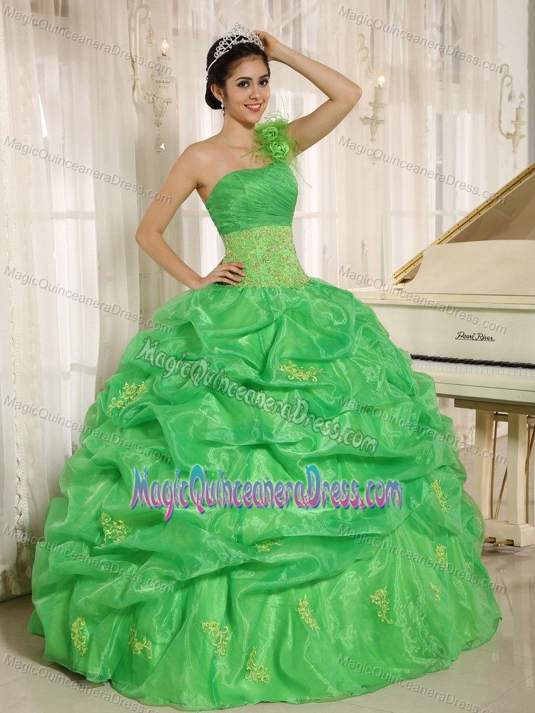 Spring Green One Shoulder Sweet 15 Dresses with Embroidery and Pick-ups