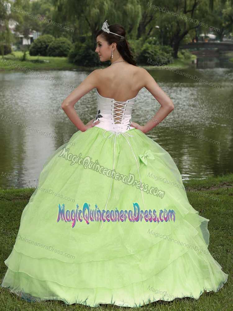 White and Green Lace-up Long Quince Dresses with Embroidery and Bow
