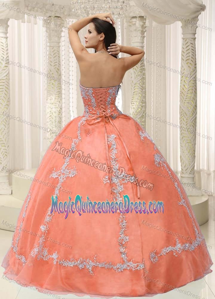 Pretty Peach Appliqued Sweetheart Floor-length Quinceanera Gown in Troy