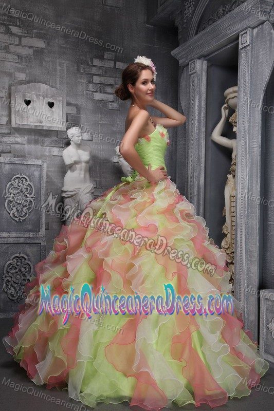 New Arrival Multi-color Long Quinceanera Gowns with Ruffles and Flowers