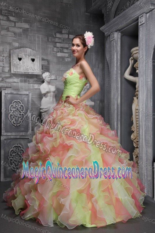 New Arrival Multi-color Long Quinceanera Gowns with Ruffles and Flowers