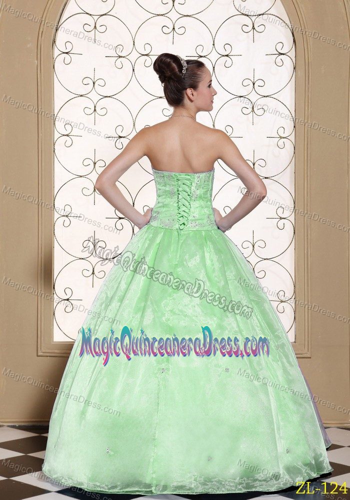 Elegant Apple Green Strapless Full-length Quince Dresses with Embroidery