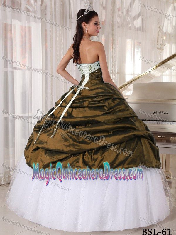 Strapless White and Brown Long Quince Dresses with Embroidery in Ames