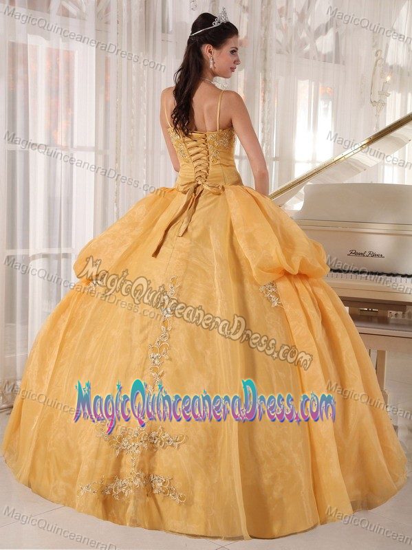 Gold Floor-length Sweet 15 Dresses with Straps and Appliques in Burnsville