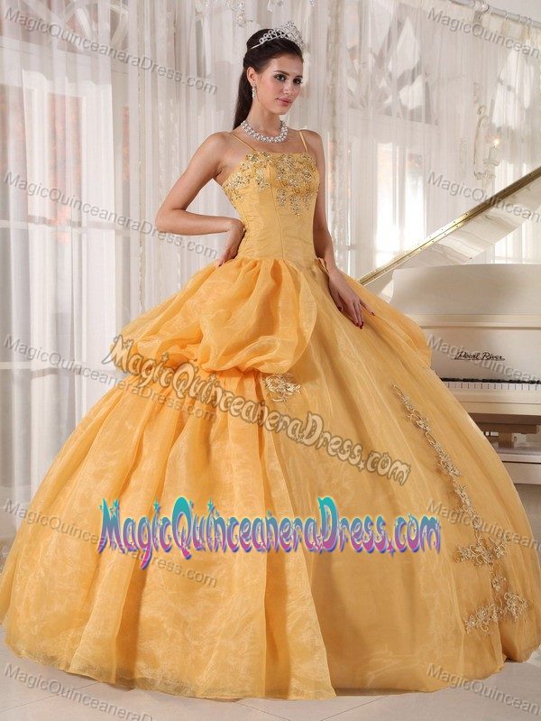Gold Floor-length Sweet 15 Dresses with Straps and Appliques in Burnsville