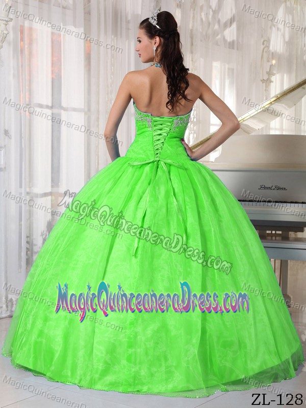 Bright Spring Green Floor-length Quinces Dresses with Appliques in Tigard