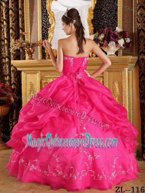 Ruche and Pick Ups Quinceanera Gown Dresses with Embroidery in Berdeen