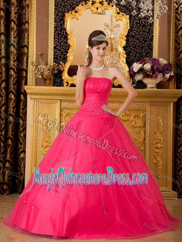Sequins and Appliques Bodice Strapless Red Quinces Dresses in Spencer