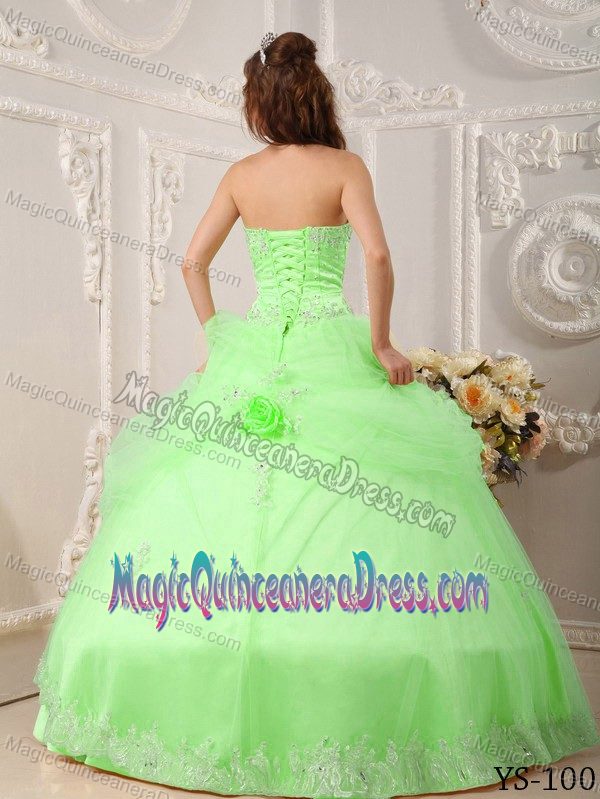 Spring Green Flowers Quinceanera Dresses with Lace Hemline in Ripley