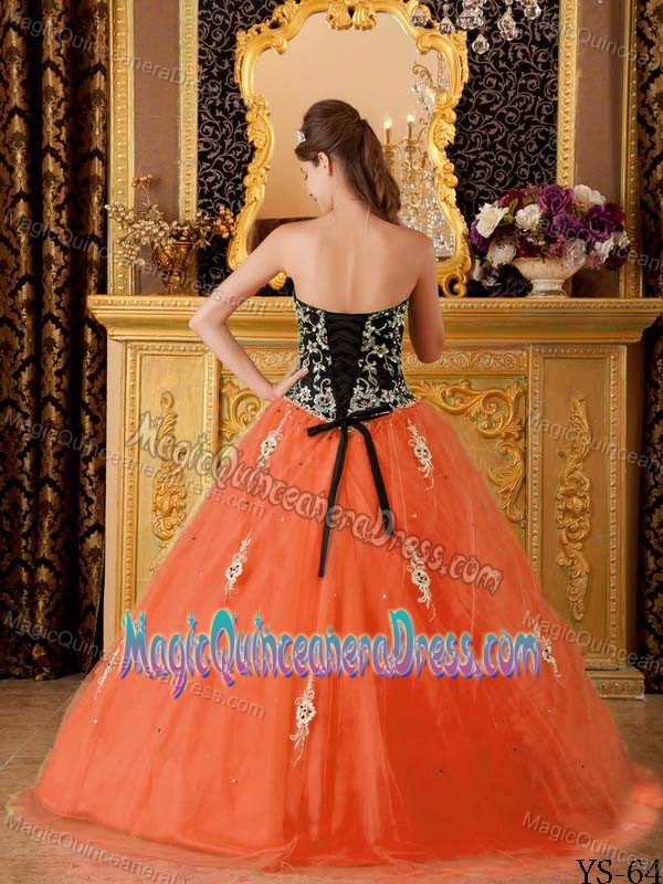 Sequins Flowers and Lace Edge Sweetheart Quinceanera Dress in Oak Hill
