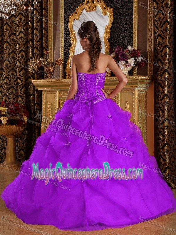 Appliques and Sequins Strapless Purple Dress for Quince in Fayetteville