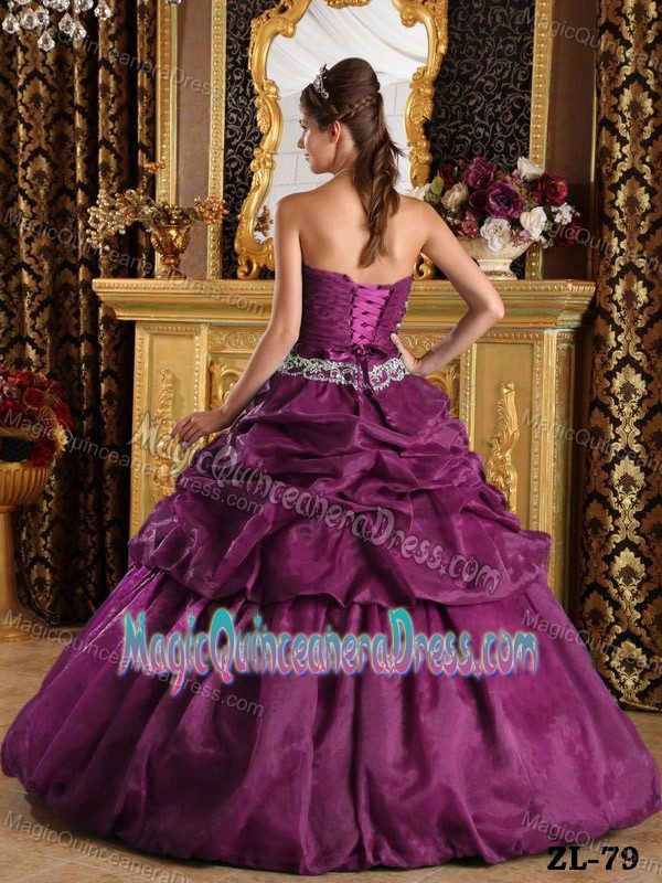 Sweetheart Sweet Sixteen Quinceanera Dress with Pick Ups and Embroidery