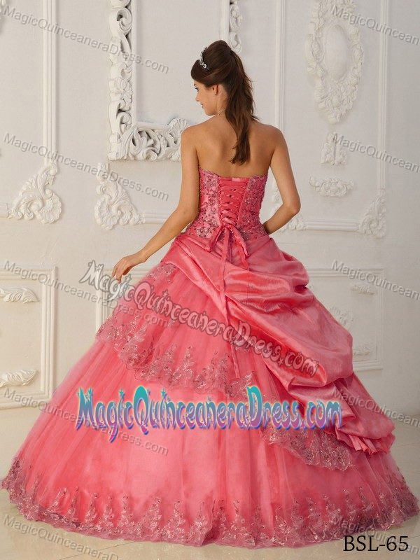 Pick Ups Strapless Quinceaneras Dress with Lace Edge in Berkeley Springs