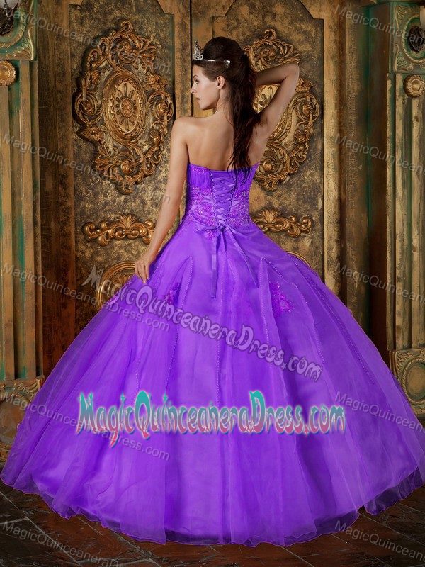 Ruching and Appliques Sweetheart Quinceanera Gown Dresses in Athens