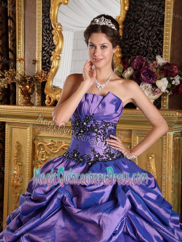 Noble Floral Appliques and Pick Ups Purple Quinceanera Dress in Elkins