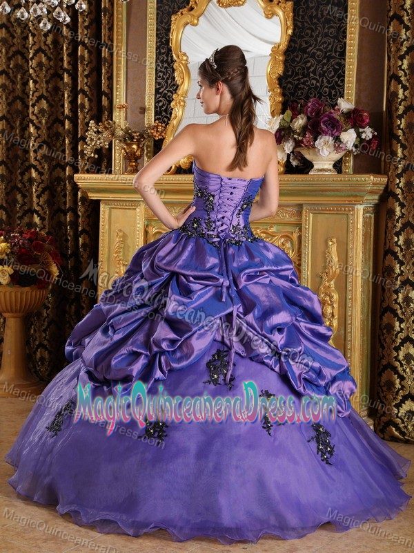Noble Floral Appliques and Pick Ups Purple Quinceanera Dress in Elkins