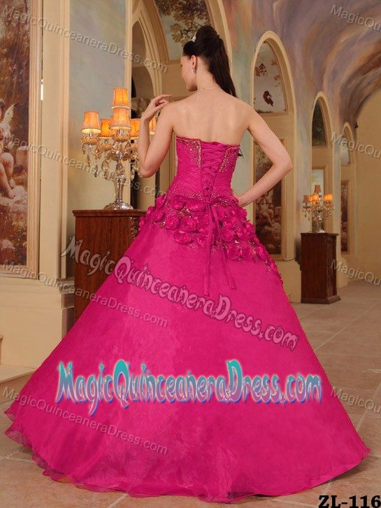 Handler Flowers and Ruching Red Dress For Quinceanera near Lewisburg