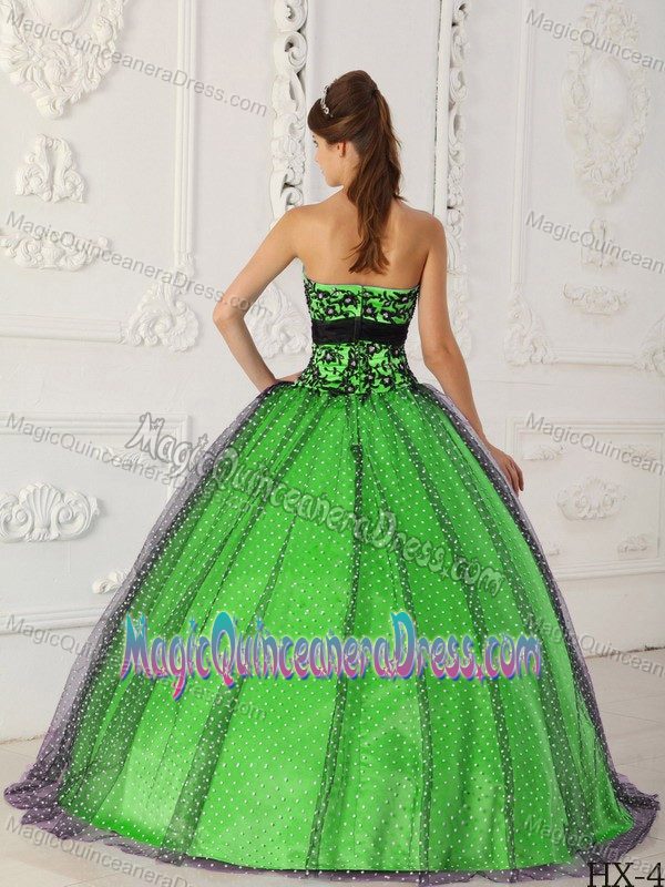 Black and Green Tulle Quinces Dresses with Embroidery near Morgantown