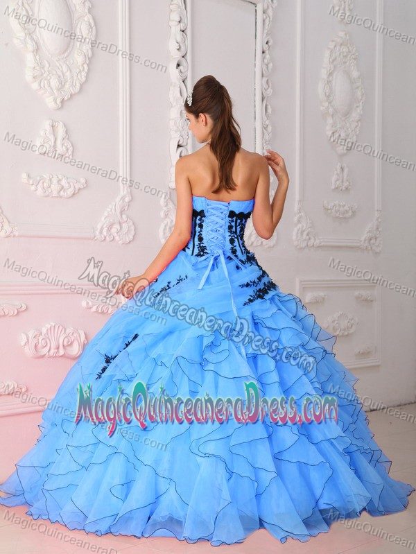 Floral Appliques and Ruffles Decorated Ruche Quinceaneras Dress on Sale
