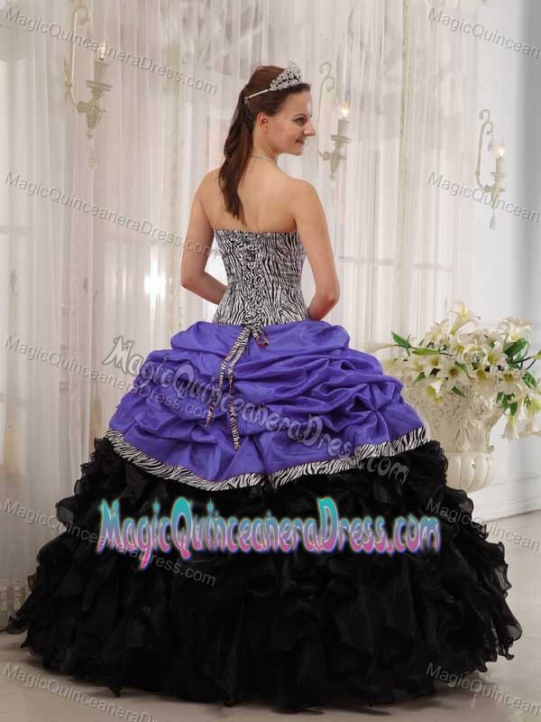 Zebra Pick Ups and Ruffled Layers Multi-color Quinceanera Dresses on Sale