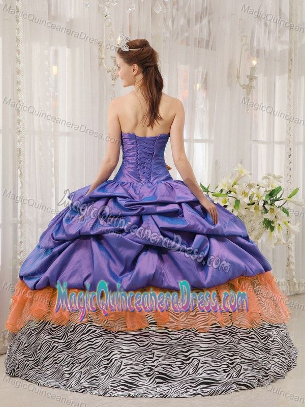 Top Multi-color Pick Ups and Zebra Layers Quinceanera Dress in Coupeville