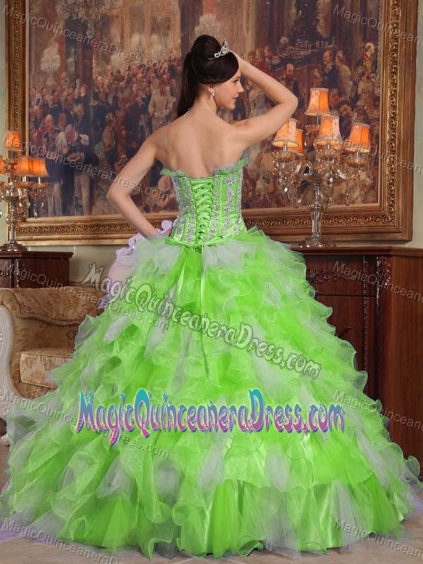 Spring Green Strapless Appliqued Quinceanera Dress in Organza in Baracoa