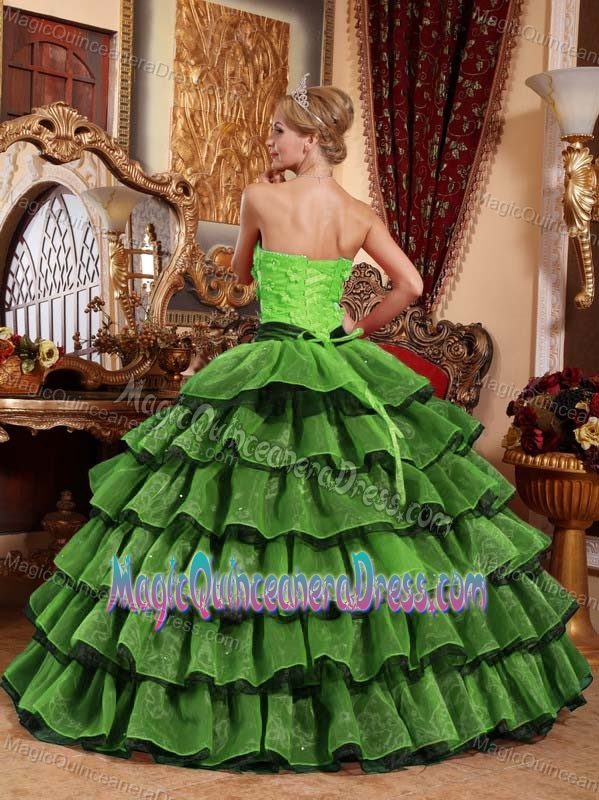 Multi-colored Strapless Floor-length Appliqued Quinceanera Dress in Patalillo