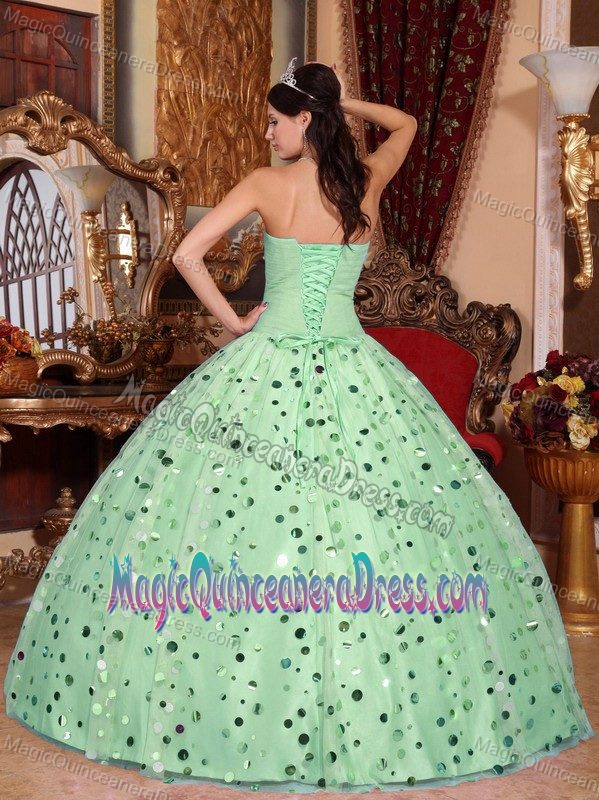 Sweetheart Tulle Sequined Quinceanera Gown Dress in Apple Green