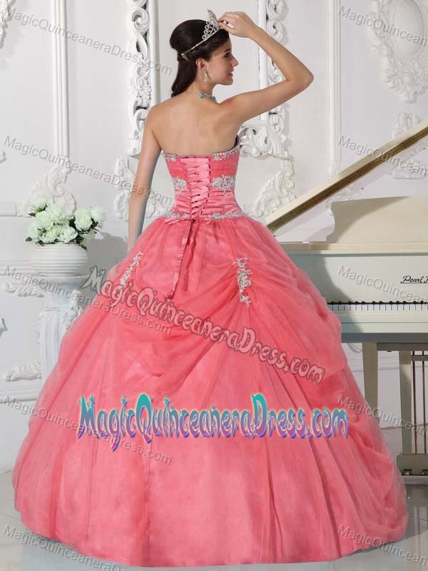 Watermelon Strapless Hand Flowery Quince Dress with Appliques in Gravilias
