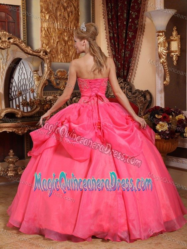 Sweetheart Taffeta Organza Appliqued Quince Dress in Coral Red in Carmen