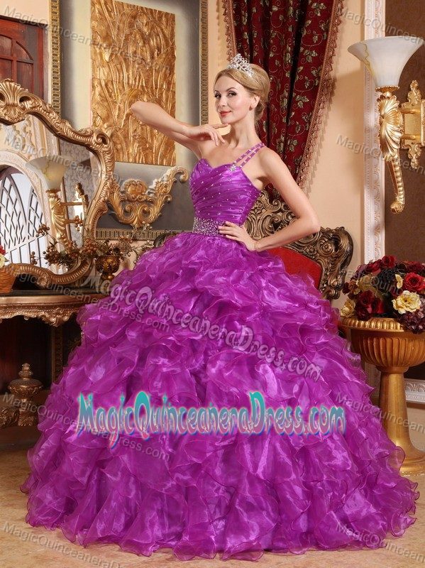 Purple One Shoulder Organza Quinceanera Dress with Beading in Ashland