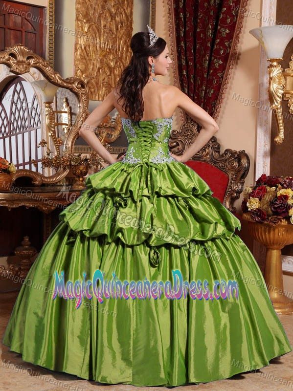 Sweetheart Taffeta Appliqued Quinceanera Dress in Olive Green in Burnie