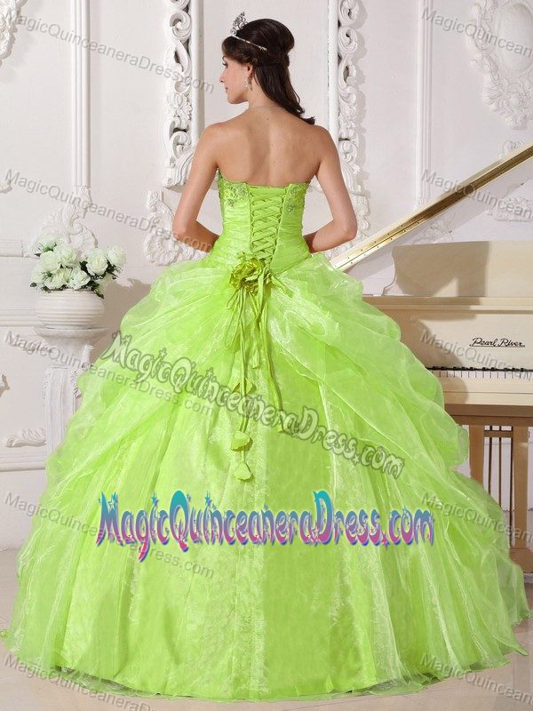 Yellow Green Strapless Embroidered Quince Dress with Beading in Adelaide