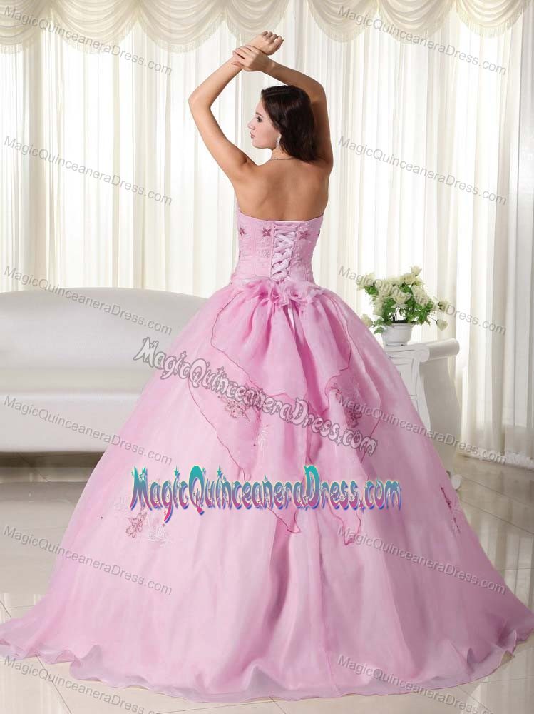 Baby Pink Strapless Organza Quinceanera Dress with Embroidery in Brisbane