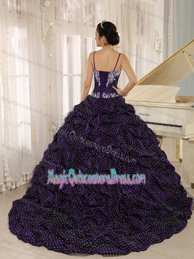 Appliqued Quinceanera Gowns with Pick-ups and Spaghetti Straps in Oshkosh