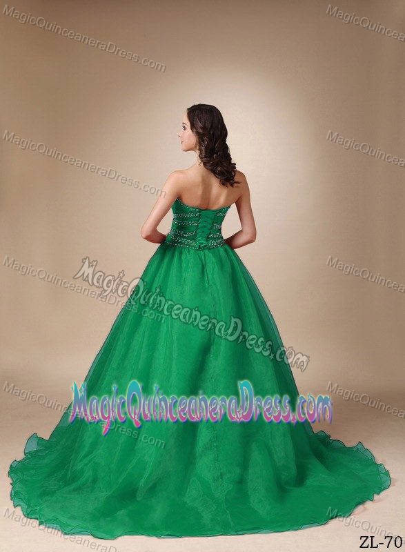 Paillettes and Ruching Court Train Dress for Quince in Green near Princeton