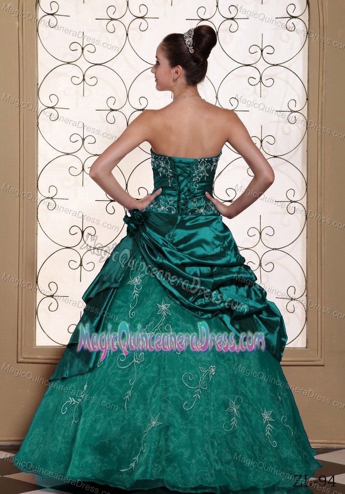 Handle Flowers Embroidery and Ruche Quinceanera Gowns in Fayetteville
