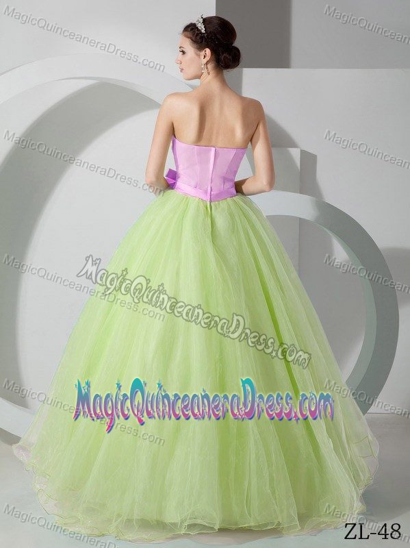 Pink and Green A-line Strapless Sweet Sixteen Dresses in Summersville