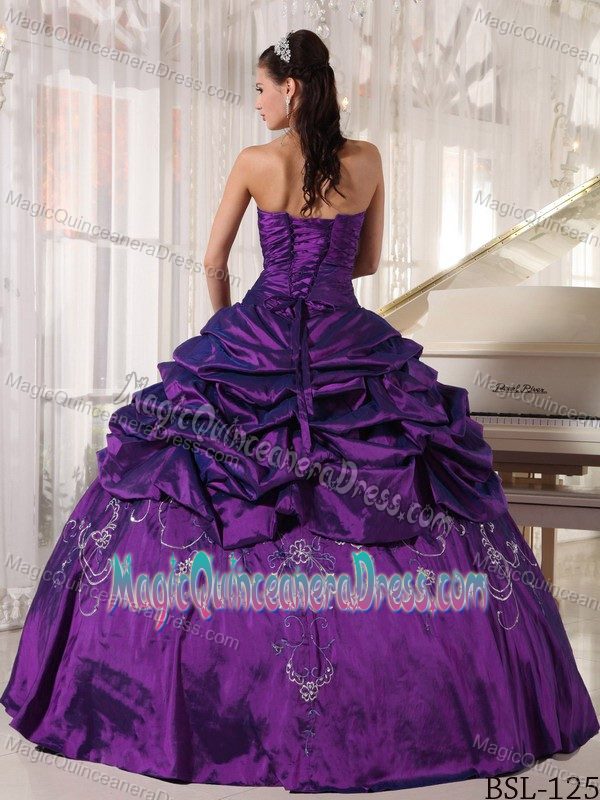 Embroidery Ruche and Pick Ups Quinceanera Dress in Berkeley Springs