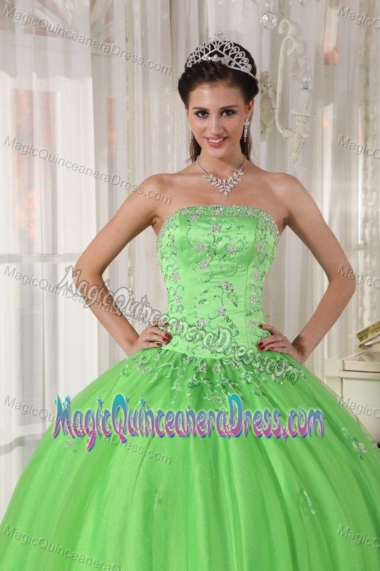 Floral Embroidery Spring Green Sweet Sixteen Quinceanera Dresses