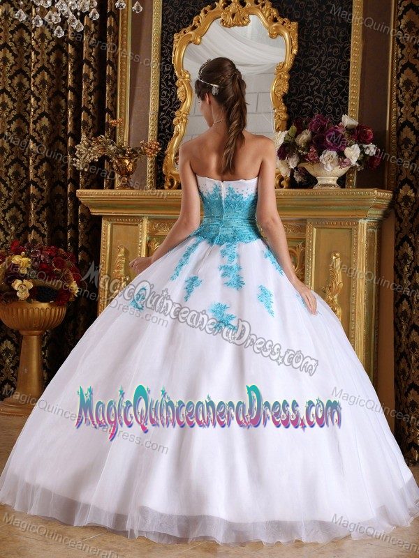 White Sweetheart Quince Dresses with Blue Floral Appliques in Clarksburg