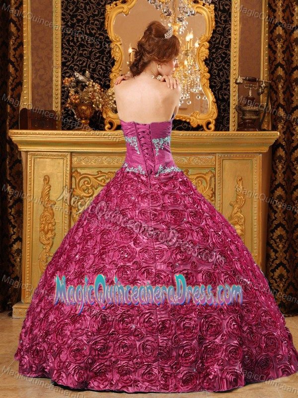 Appliques and Ruching Rilling Flowers Quinceanera Dresses in Beckley
