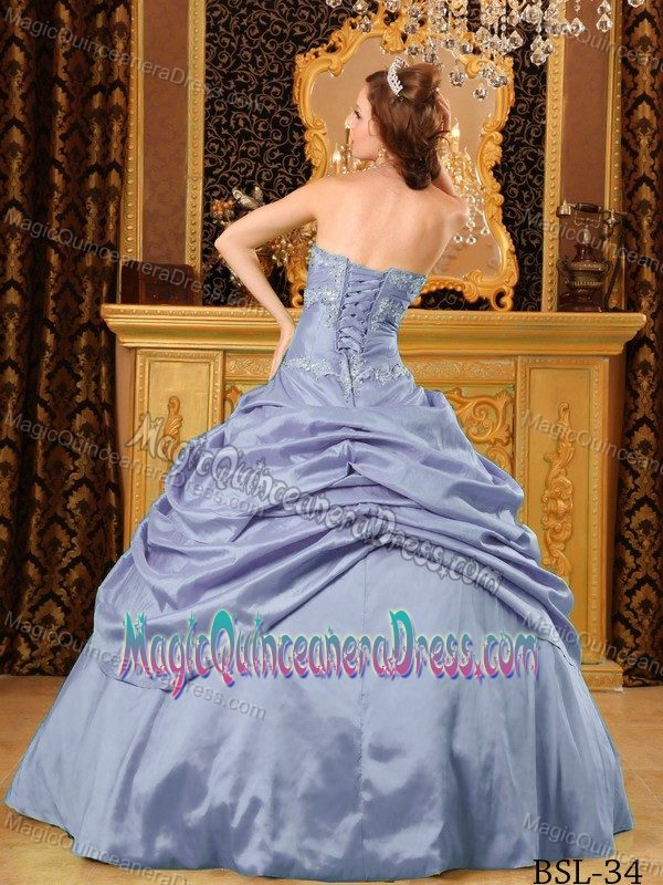 Timeless Ruching and Embroidery Sweet 16 Dresses in Snohomish