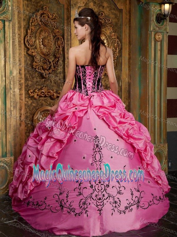 Embroidery and Pick Ups Decorated Puffy Sweet 15 Dresses in Snoqualmie