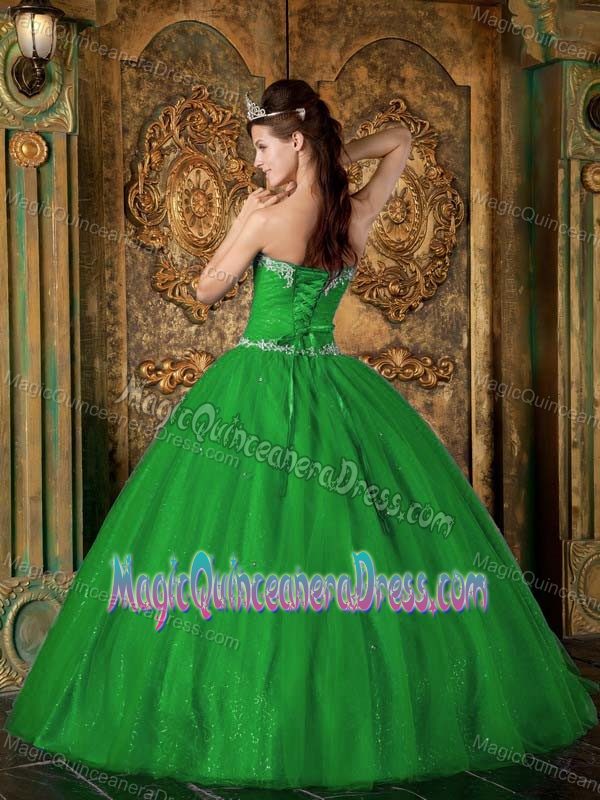 Sequins and Appliques Green Bodice Dress For Quinceanera in Woodinville